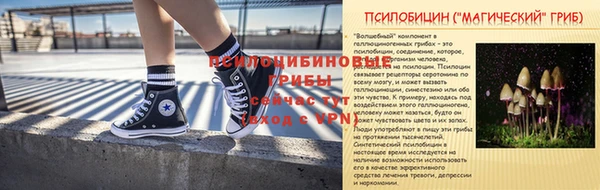 первитин Алексеевка